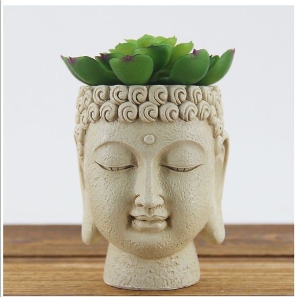 Meet your Posher, Raven - Picture 1 of 1